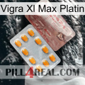 Vigra Xl Max Platinum new13